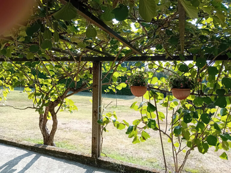 Gruppi di Spiritualità familiare